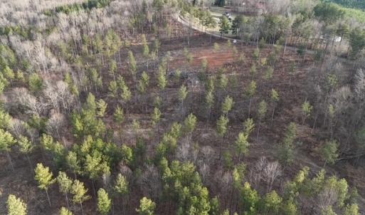 Photo #8 of Amelia Springs, Jetersville, VA 10.0 acres