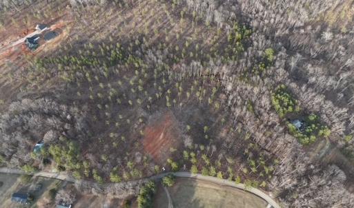 Photo #18 of Amelia Springs, Jetersville, VA 10.0 acres