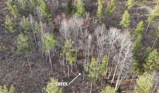 Photo #3 of Amelia Springs, Jetersville, VA 10.0 acres