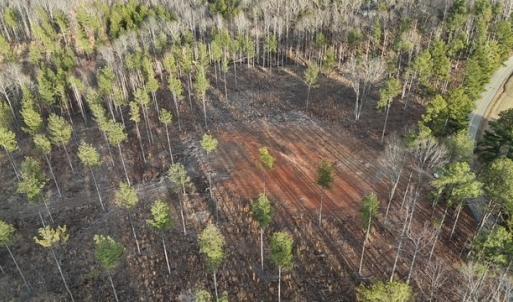 Photo #6 of Amelia Springs, Jetersville, VA 10.0 acres