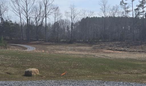 Photo #9 of 696 Greenbay Rd., Rice, VA 58.3 acres