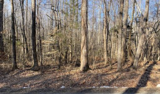 Photo #2 of 8.2AC Planterville Road, Drakes Branch, VA 8.2 acres