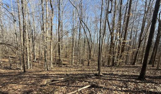 Photo #4 of 8.2AC Planterville Road, Drakes Branch, VA 8.2 acres