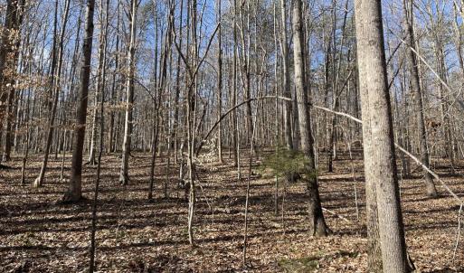 Photo #5 of 8.2AC Planterville Road, Drakes Branch, VA 8.2 acres