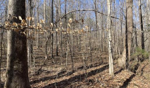 Photo #6 of 8.2AC Planterville Road, Drakes Branch, VA 8.2 acres