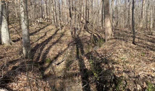 Photo #7 of 8.2AC Planterville Road, Drakes Branch, VA 8.2 acres