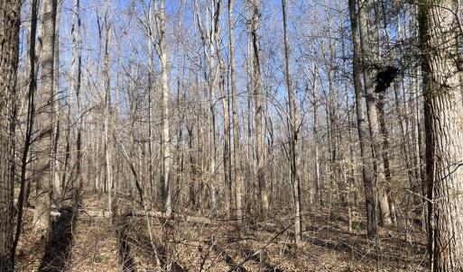 Photo #8 of 8.2AC Planterville Road, Drakes Branch, VA 8.2 acres