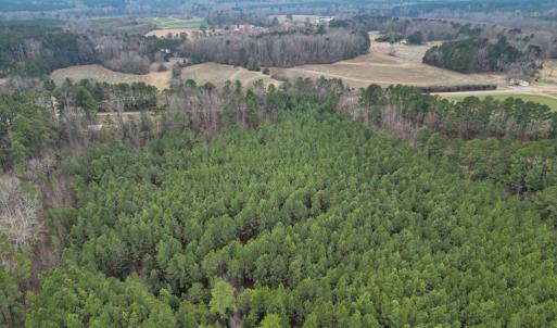 Photo #2 of Harristown Road, Warrenton, NC 33.0 acres