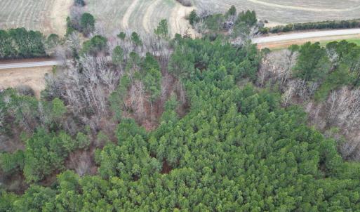 Photo #4 of Harristown Road, Warrenton, NC 33.0 acres