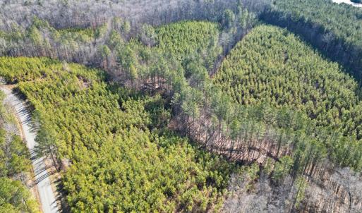 Photo #3 of St. Johns Church Road, Kenbridge, VA 46.6 acres