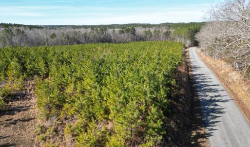 Photo #4 of St. Johns Church Road, Kenbridge, VA 46.6 acres