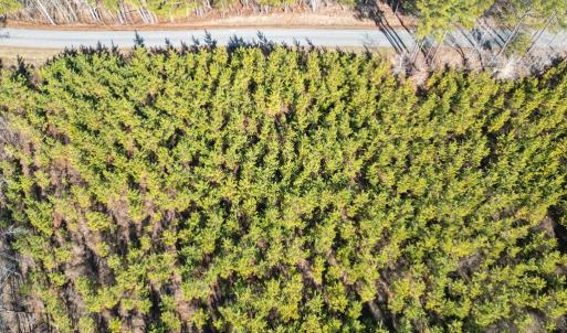 Photo #5 of St. Johns Church Road, Kenbridge, VA 46.6 acres