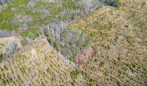 Photo #2 of Christanna Highway, Valentines, VA 46.0 acres