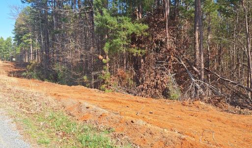 Photo #2 of Buffalo Drive, Buffalo Junction, VA 4.7 acres