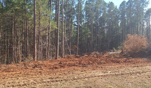 Photo #4 of Buffalo Drive, Buffalo Junction, VA 4.7 acres