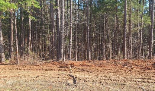 Photo #5 of Buffalo Drive, Buffalo Junction, VA 4.7 acres