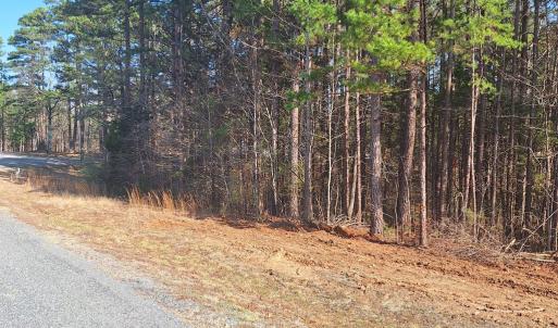 Photo #6 of Buffalo Drive, Buffalo Junction, VA 4.7 acres