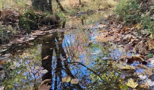 Photo #2 of 697 Austin Rd., Gladstone, VA 23.4 acres