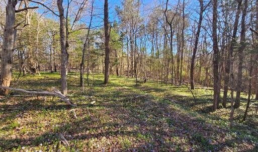 Photo #3 of Layne St, Farmville, VA 2.4 acres