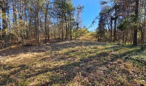 Photo #2 of Layne St, Farmville, VA 2.4 acres