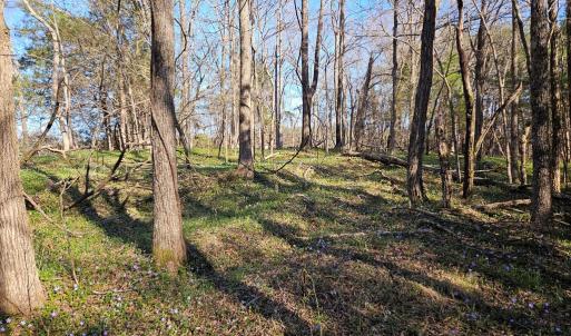 Photo #6 of Layne St, Farmville, VA 2.4 acres