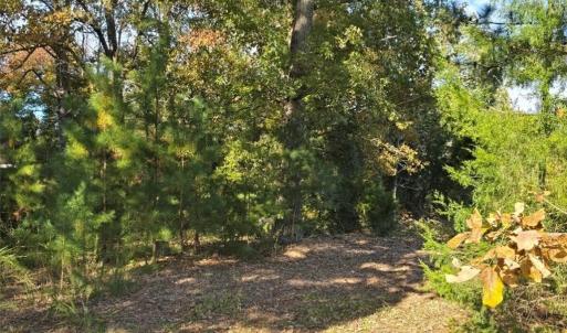 Photo #6 of Patrick Henry Hwy, Amelia, VA 13.2 acres