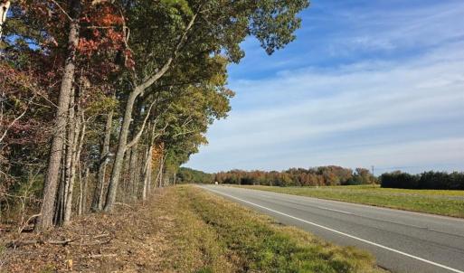 Photo #8 of Patrick Henry Hwy, Amelia, VA 13.2 acres
