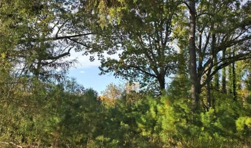 Photo #2 of Patrick Henry Hwy, Amelia, VA 13.2 acres