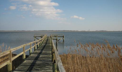 Photo #7 of Lot 17 OYSTER COVE LANE, ATLANTIC, VA 153.0 acres