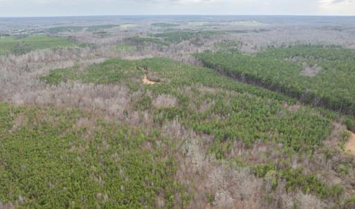 Photo #12 of Darlington Heights, Cullen, VA 92.5 acres