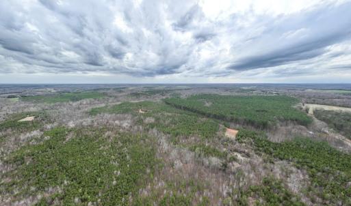 Photo #14 of Darlington Heights, Cullen, VA 92.5 acres