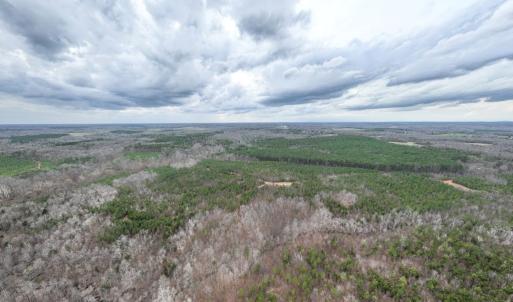 Photo #16 of Darlington Heights, Cullen, VA 92.5 acres