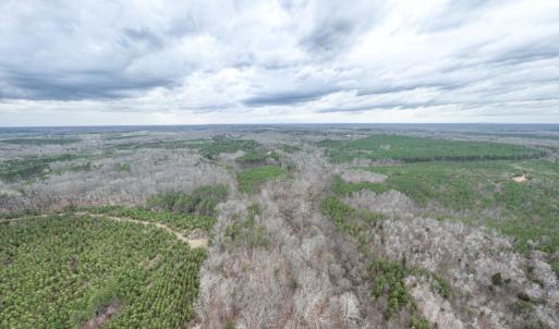 Photo #18 of Darlington Heights, Cullen, VA 92.5 acres