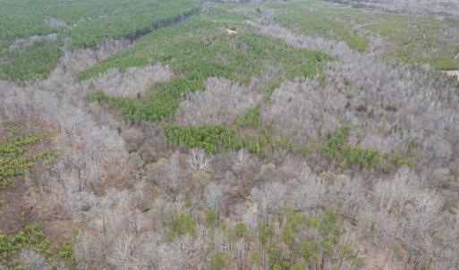 Photo #19 of Darlington Heights, Cullen, VA 92.5 acres