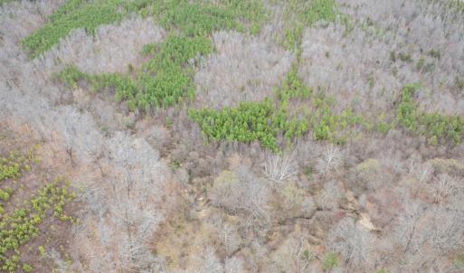 Photo #20 of Darlington Heights, Cullen, VA 92.5 acres