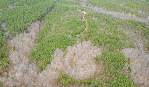 Photo #21 of Darlington Heights, Cullen, VA 92.5 acres