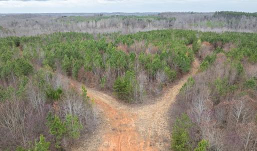 Photo #22 of Darlington Heights, Cullen, VA 92.5 acres