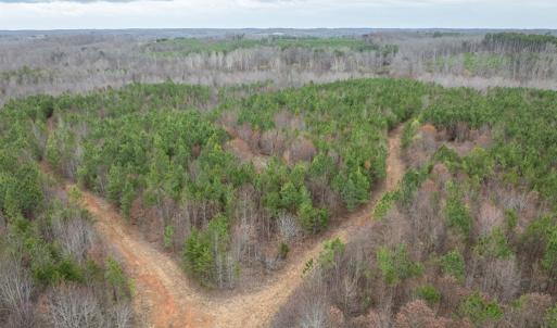 Photo #23 of Darlington Heights, Cullen, VA 92.5 acres