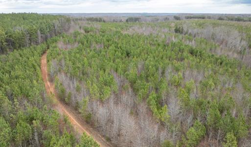 Photo #4 of Darlington Heights, Cullen, VA 92.5 acres