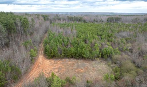 Photo #5 of Darlington Heights, Cullen, VA 92.5 acres