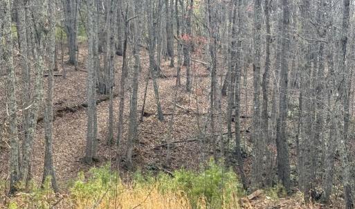 Photo #11 of Lime Plant Road, Appomattox, VA 16.7 acres