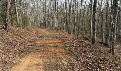 Photo #3 of Lime Plant Road, Appomattox, VA 16.7 acres