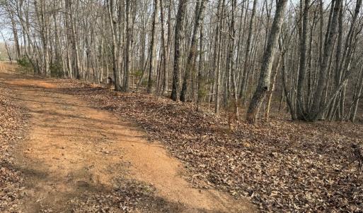 Photo #4 of Lime Plant Road, Appomattox, VA 16.7 acres
