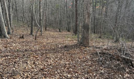 Photo #5 of Lime Plant Road, Appomattox, VA 16.7 acres