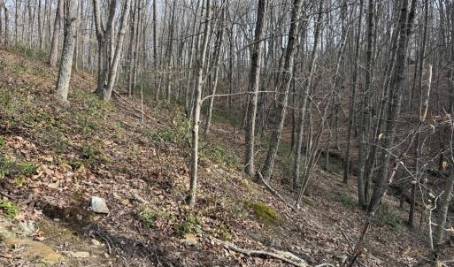 Photo #6 of Lime Plant Road, Appomattox, VA 16.7 acres