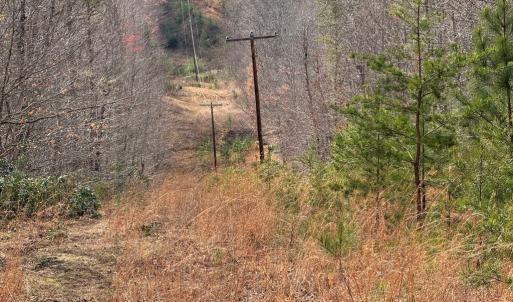 Photo #8 of Lime Plant Road, Appomattox, VA 16.7 acres
