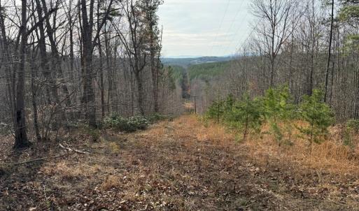 Photo #9 of Lime Plant Road, Appomattox, VA 16.7 acres