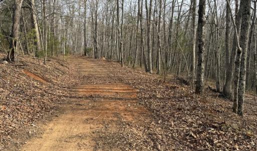 Photo #3 of Lime Plant Road, Appomattox, VA 16.7 acres