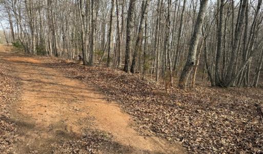 Photo #4 of Lime Plant Road, Appomattox, VA 16.7 acres