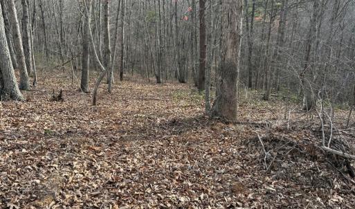 Photo #5 of Lime Plant Road, Appomattox, VA 16.7 acres